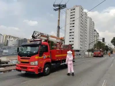 Imagem card com fundo