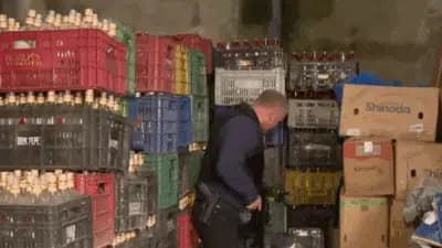 Imagem card com fundo