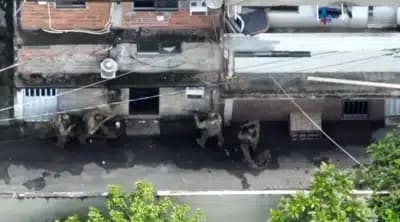 Imagem card com fundo