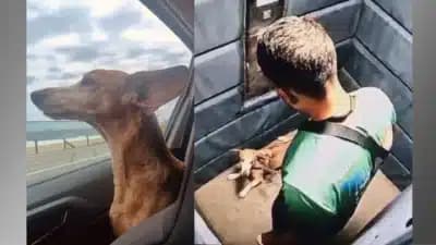 Imagem card com fundo