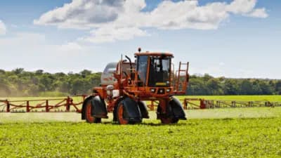 Imagem do post de destaque