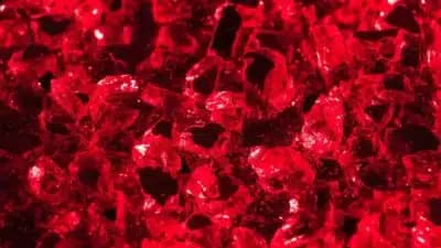 Imagem card com fundo