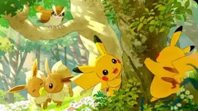 Imagem card com fundo