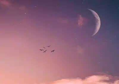 Imagem card com fundo