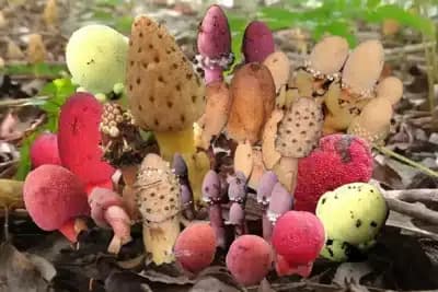 Imagem card com fundo