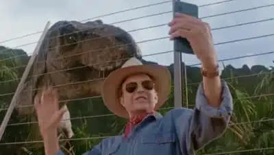 Imagem card com fundo