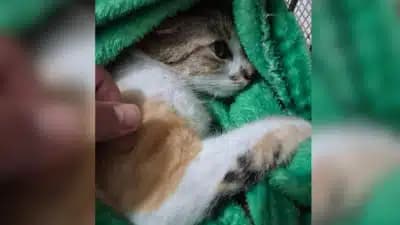 Imagem card com fundo