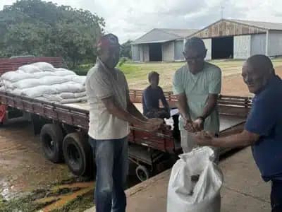 Imagem card com fundo