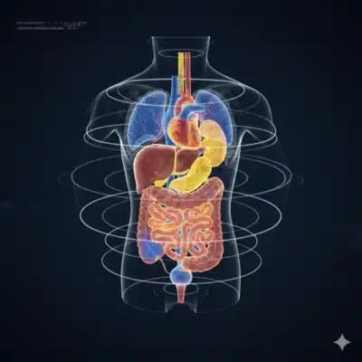 Imagem card com fundo