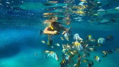 Imagem card com fundo