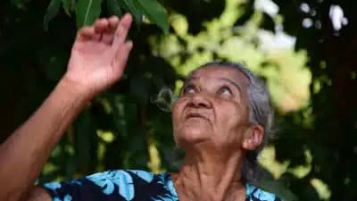 Imagem card com fundo