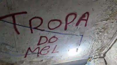 Imagem card com fundo