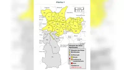 Imagem card com fundo