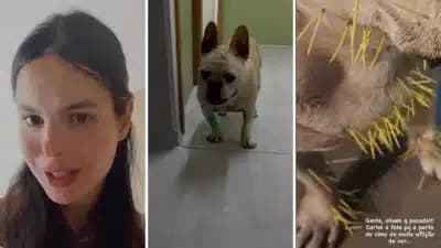 Imagem card com fundo