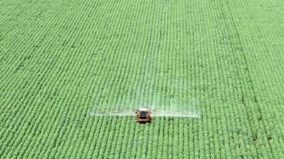 Governo interrompe, sem comunicação antecipada, o fornecimento de seguro rural, gerando preocupação e instabilidade no relacionamento com o setor agrícola