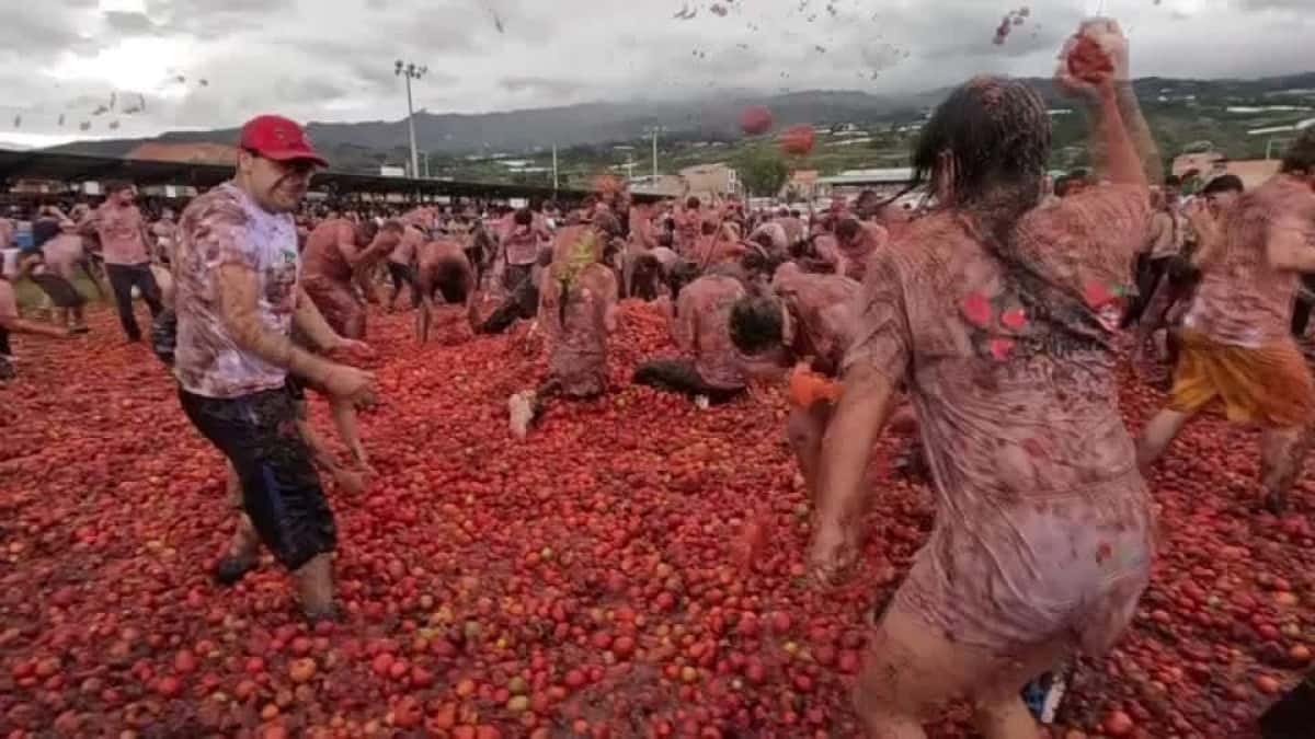 2025-06-02T015908Z_3_LOP838801062025RP1_RTRMADP_BASEIMAGE-960X540_COLOMBIA-TOMATINA