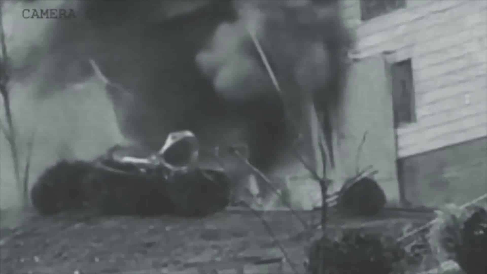 BR_CNN_230625_WEB_EXPLODE_PRISAO.mp4_frame_116