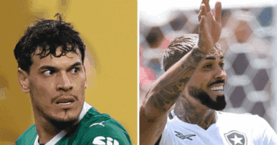 Palmeiras e Botafogo constroem história de confronto