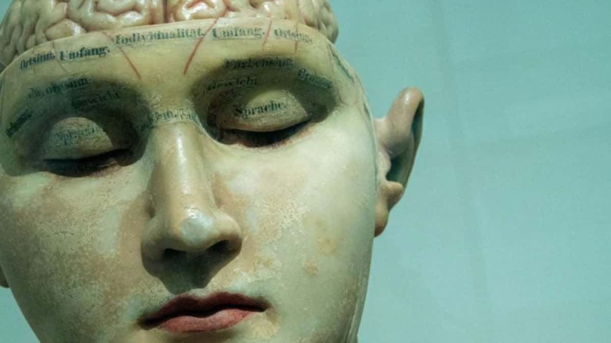 cabeca-humana-cerebro-848×477-1