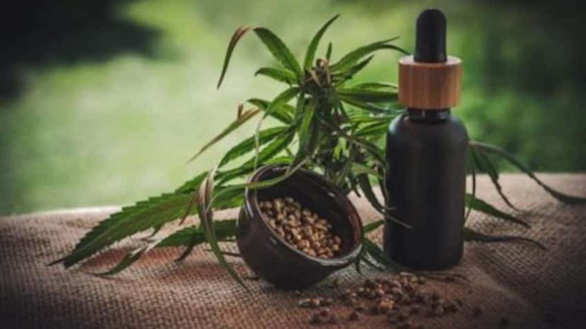 cbd-cannabis-maconha-medicinal-450×299-1-848×477-1