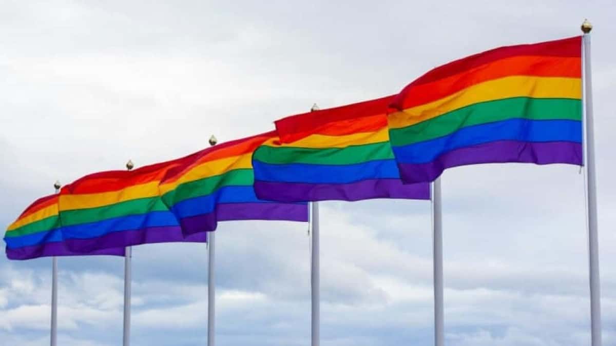 lgbt-comunidade-848×477-1