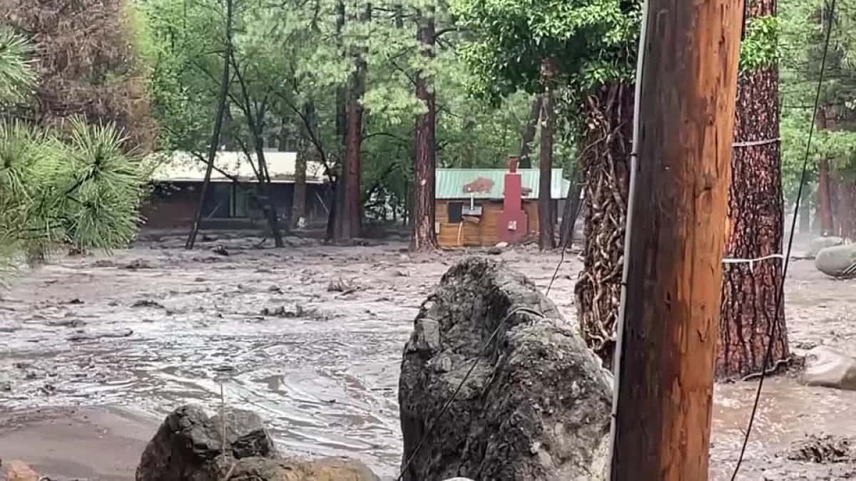 2025-07-09T055426Z_1_LOP843209072025RP1_RTRMADP_BASEIMAGE-960X540_USA-WEATHER-NEW-MEXICO-FLOODS-UGC
