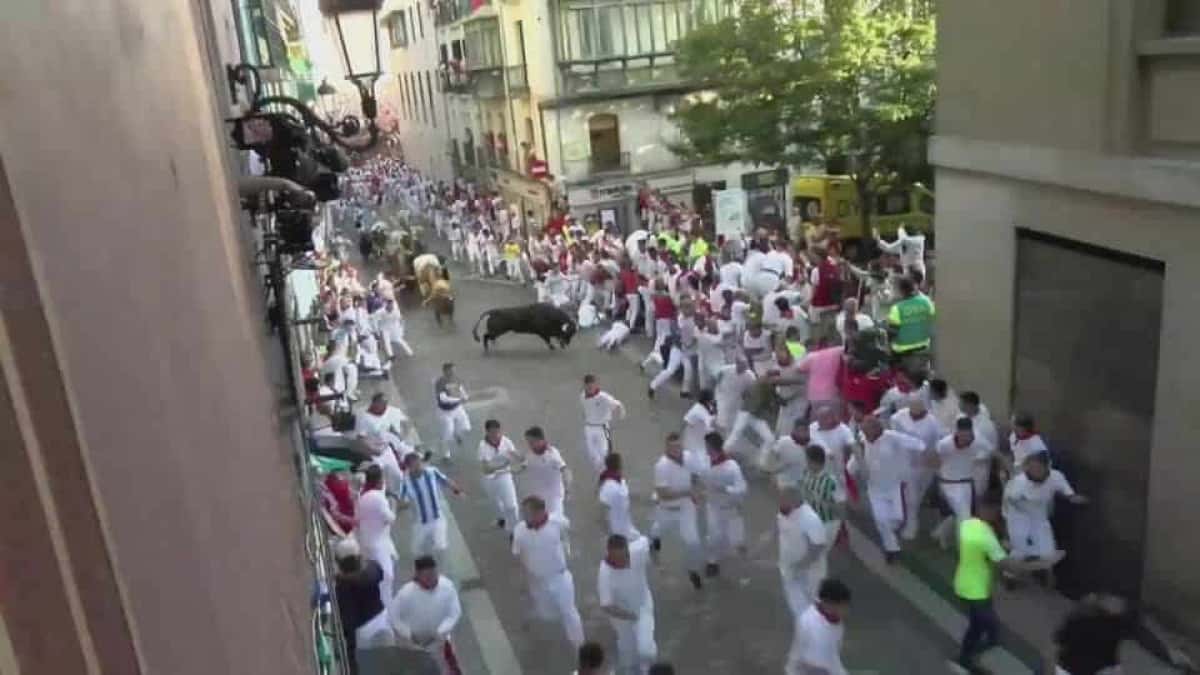 2025-07-13T072149Z_1_LOP940312072025RP1_RTRMADP_BASEIMAGE-960X540_SPAIN-CULTURE-BULLS