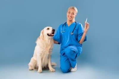 Cinco dicas para vacinar seu animal de estimação sem comprometer o orçamento