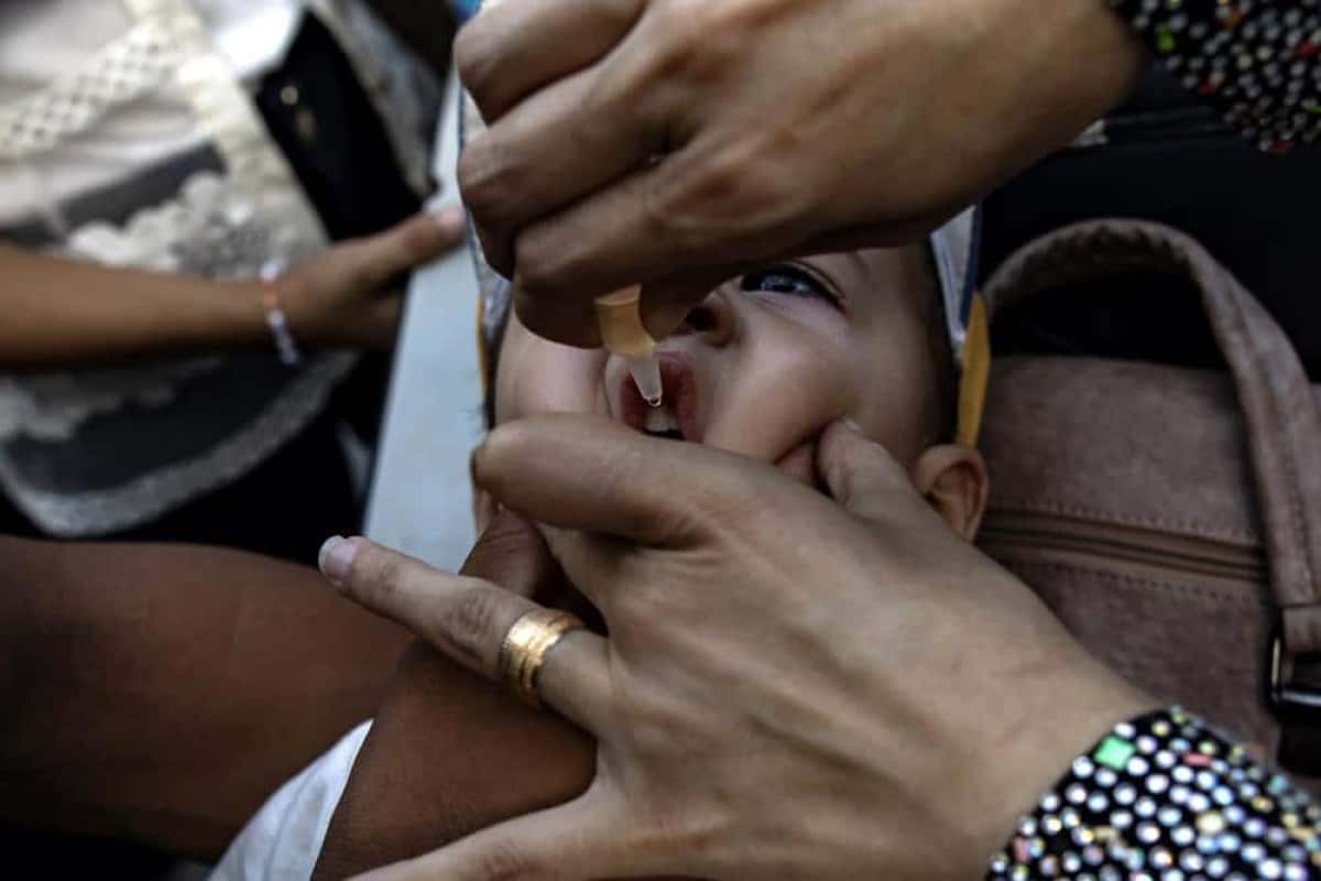 Khan Yunis (-), 05/09/2024.- A nurse administers polio vaccine drops to Palestinian children at a UN school in Khan Yunis camp, southern Gaza Strip, 05 September 2024. According to UNICEF Regional Director for the Middle East and North Africa, Adele Khodr, the first phase of a two-round polio vaccination campaign, running from 01 to 03 September, surpassed its initial target (estimated at 157,000 children due to population movement) and reached more than 189,000 children under 10 years old in the central Gaza Strip. The rollout of the next phase of the campaign will take place in southern Gaza from 05 to 08 September 2024, targeting an estimated 340,000 children under the age of 10, the World Health Organization (WHO) said. To prevent the spread of circulating variant type 2 poliovirus (cVDPV2), a polio vaccination campaign with novel oral poliovirus vaccine type 2 (nOPV2) has been launched in the Palestinian enclave after WHO and UNICEF called for humanitarian pauses in the conflict to allow for vaccination following the discovery of the poliovirus in environmental samples from Khan Yunis and Deir Al Balah in July 2024. (Niza) EFE/EPA/HAITHAM IMAD