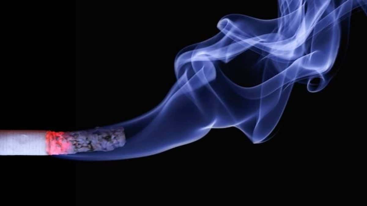 Cigarro-848×477-1