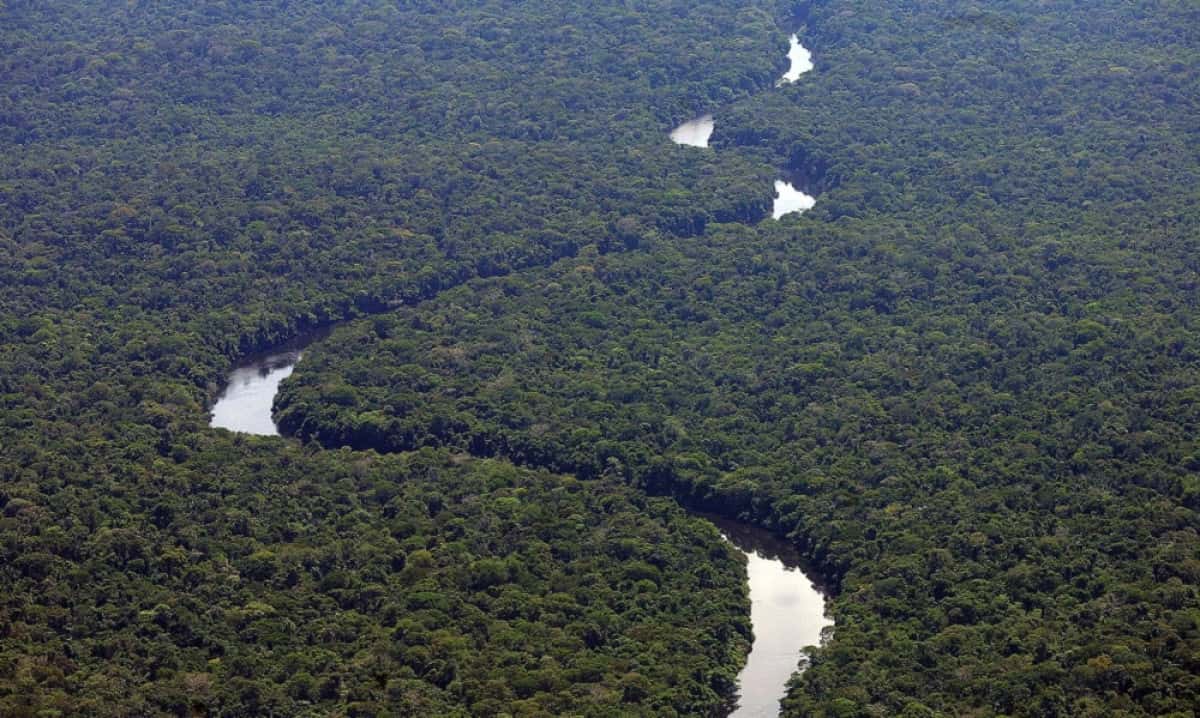 Brasil, Vilhena, RO. 14/12/07. Vista aérea da reserva indígena Roosevelt, onde habita a tribo Cinta Larga. - Crédito:EVELSON DE FREITAS/ESTADÃO CONTEÚDO/AE/Codigo imagem:24842