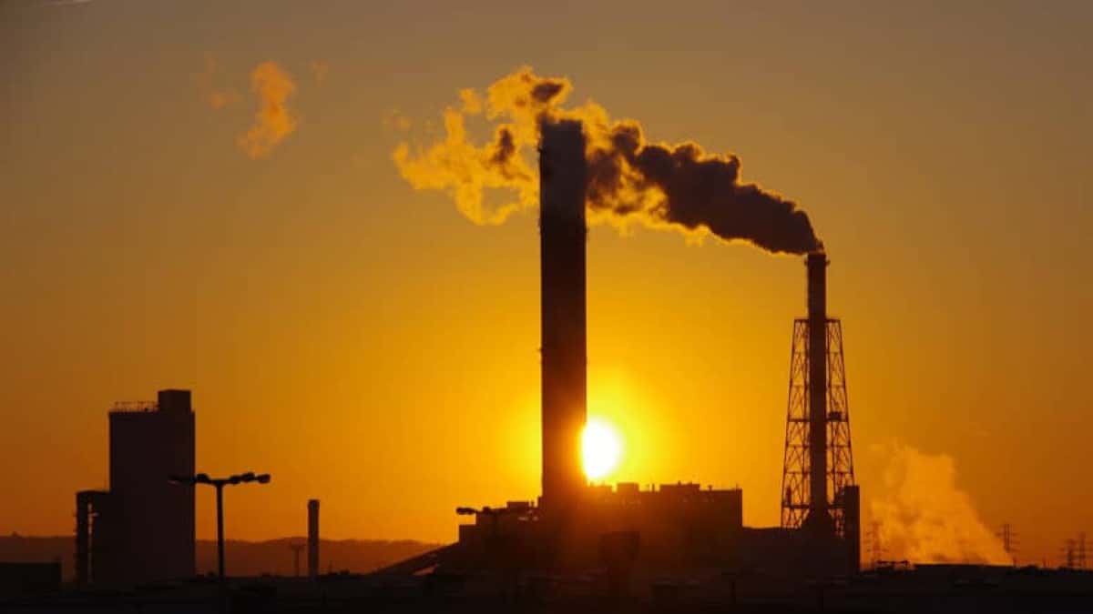 economia-de-baixo-carbono-artigo-patricia-iglecias-848×477-1