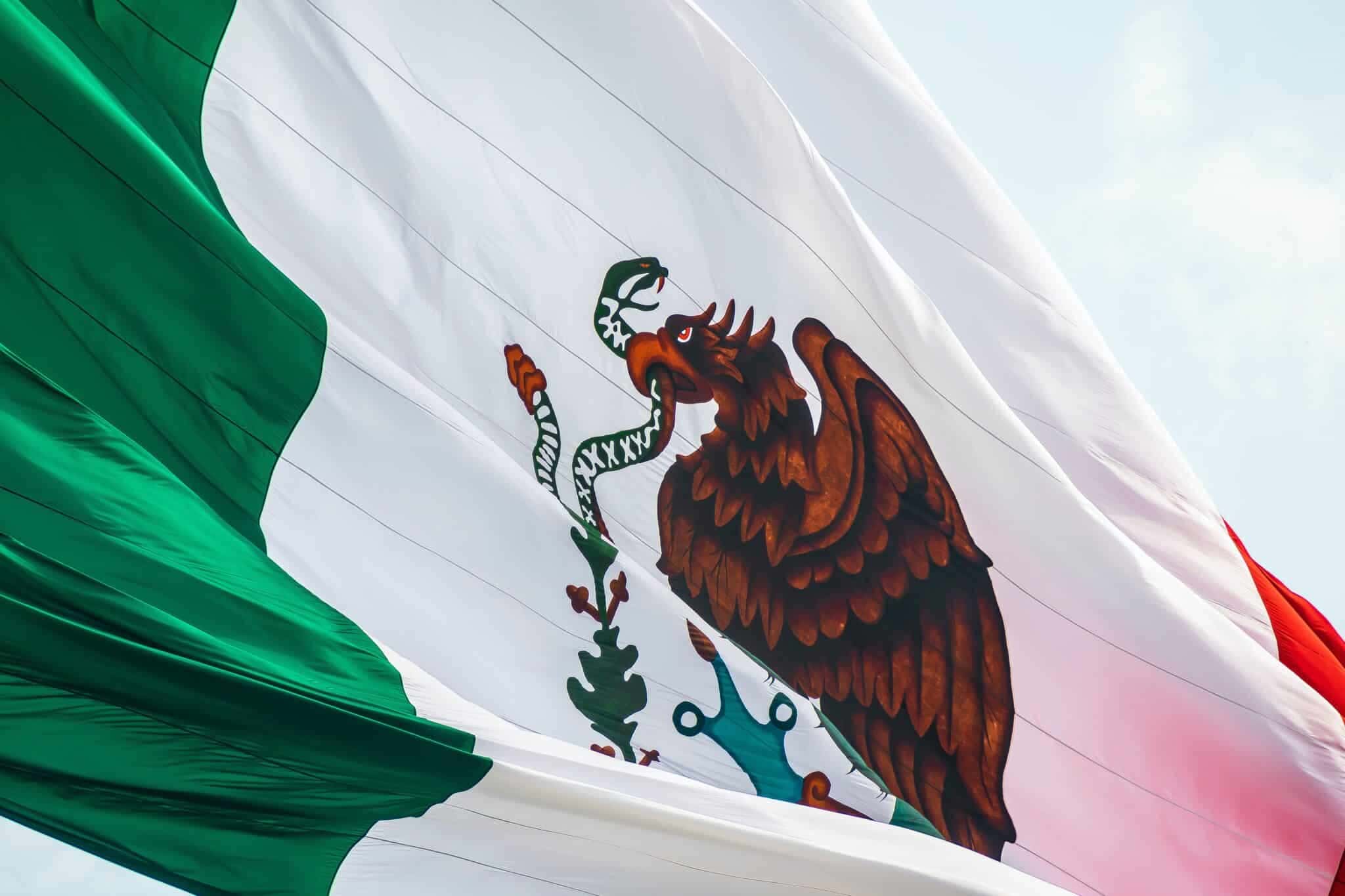 jorge-aguilar-vZ9TqSm9ZsQ-unsplash-1