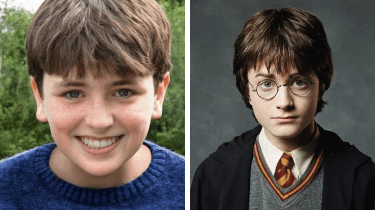 novo-harry-potter-serie