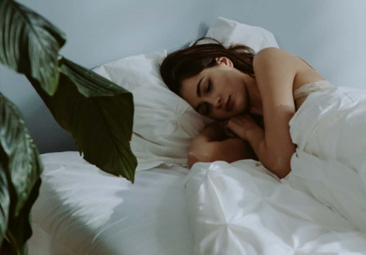 plantas-no-quarto