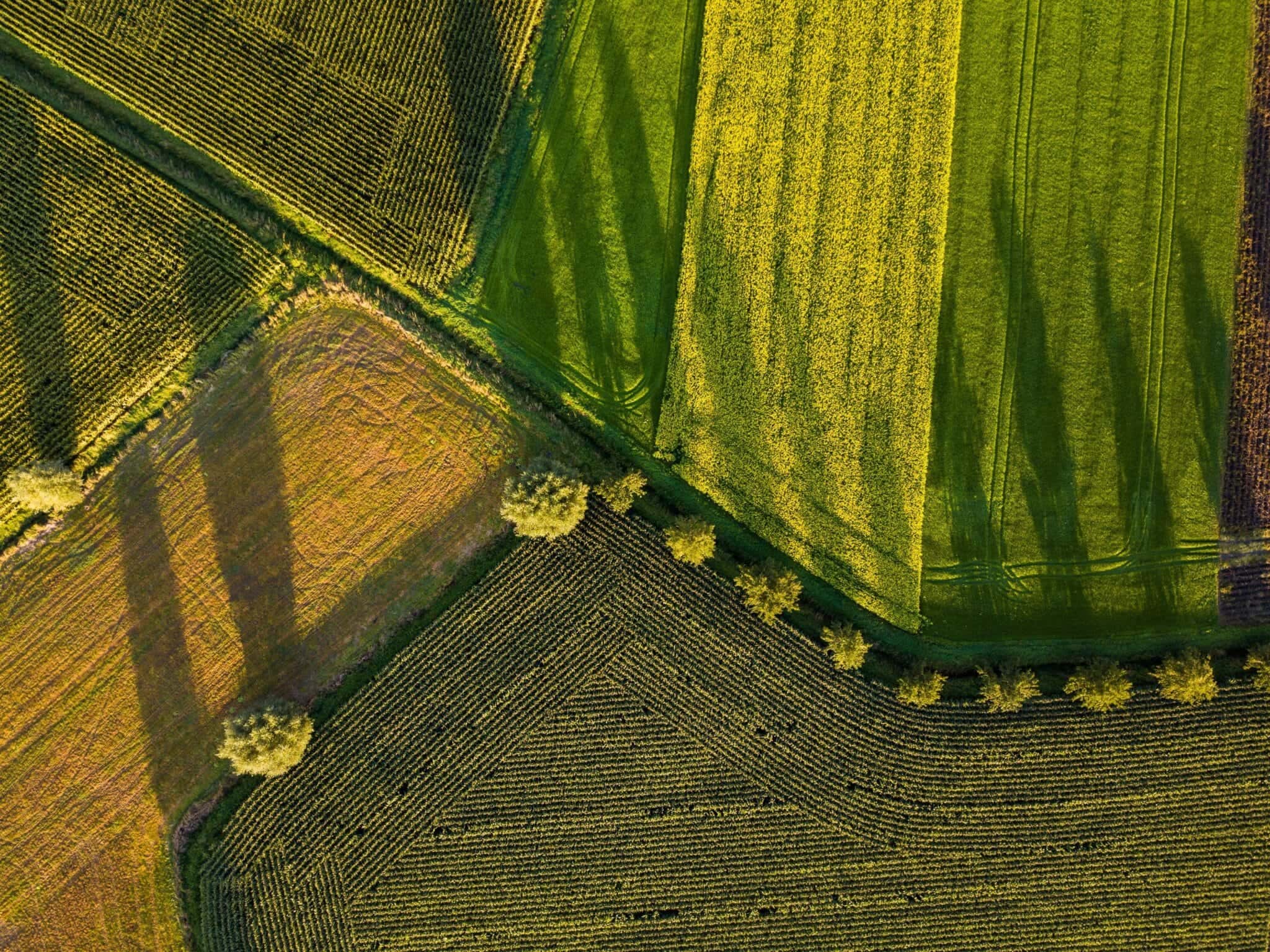 yulian-alexeyev-xDLEUTWCZdc-unsplash