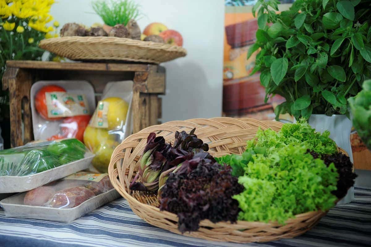 agronegocio-trava-guerra-contra-organicos-e-alimentacao-saudavel