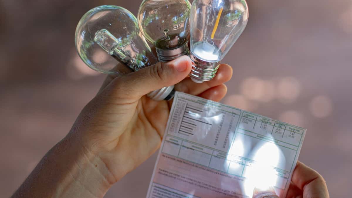 luz-energia-fdr-9