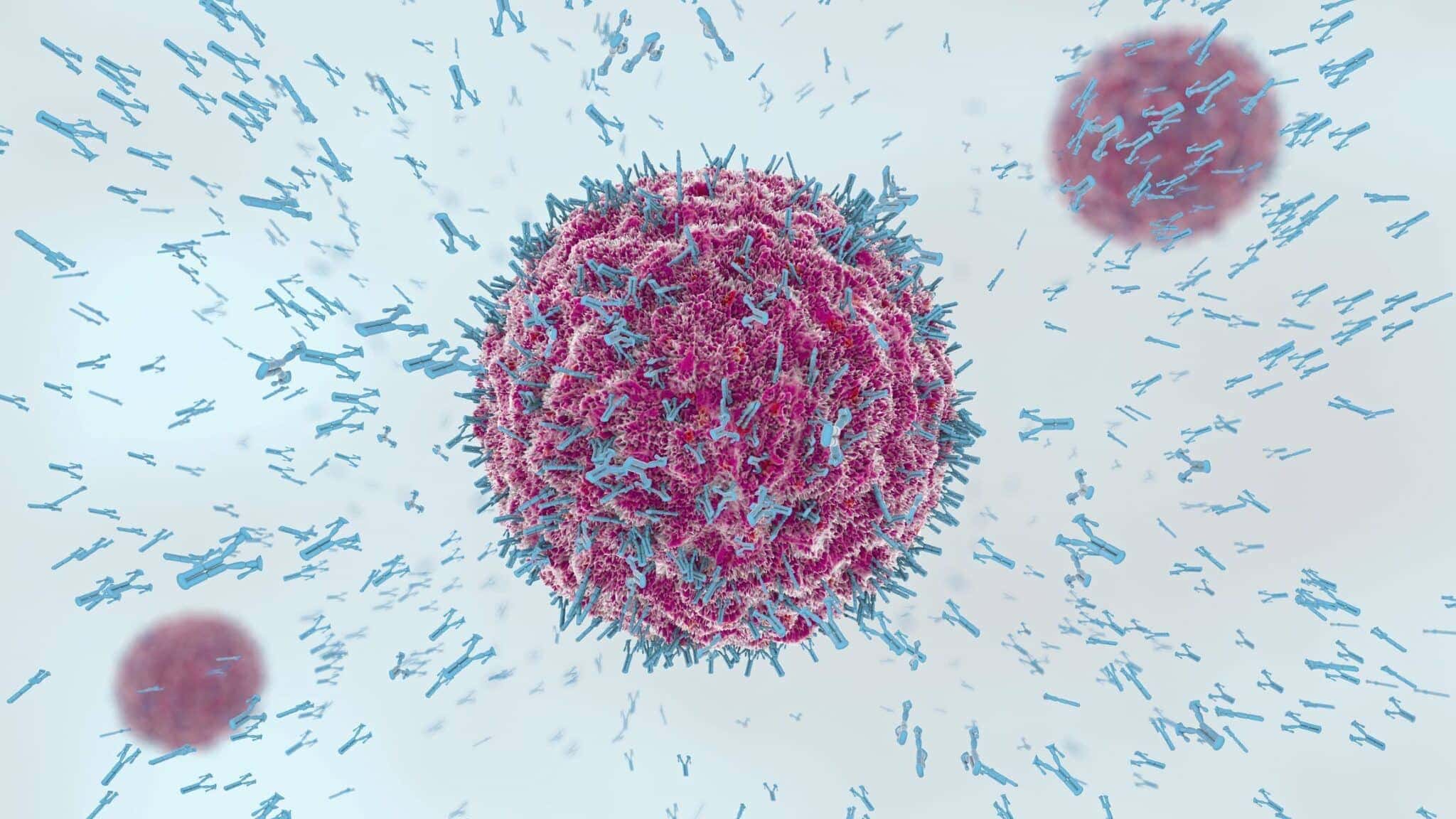 sistema-imunologico