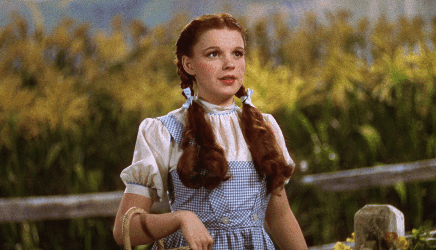 wizard-of-oz