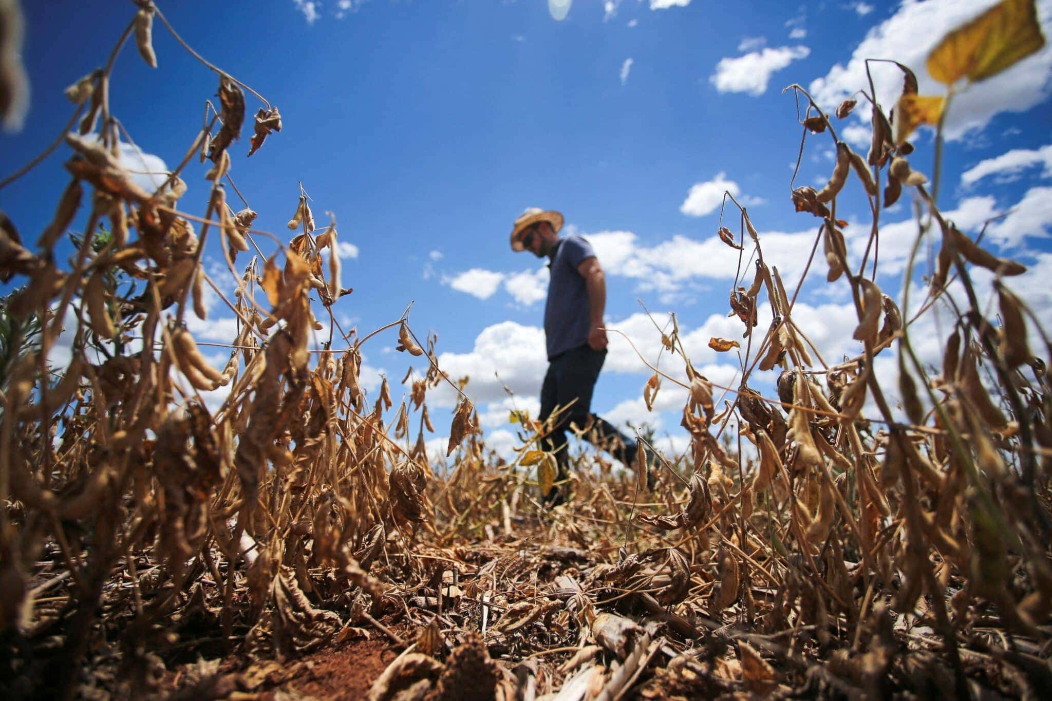 2022-01-25T200445Z_1_LYNXMPEI0O0ZT_RTROPTP_4_BRAZIL-GRAINS-DROUGHT