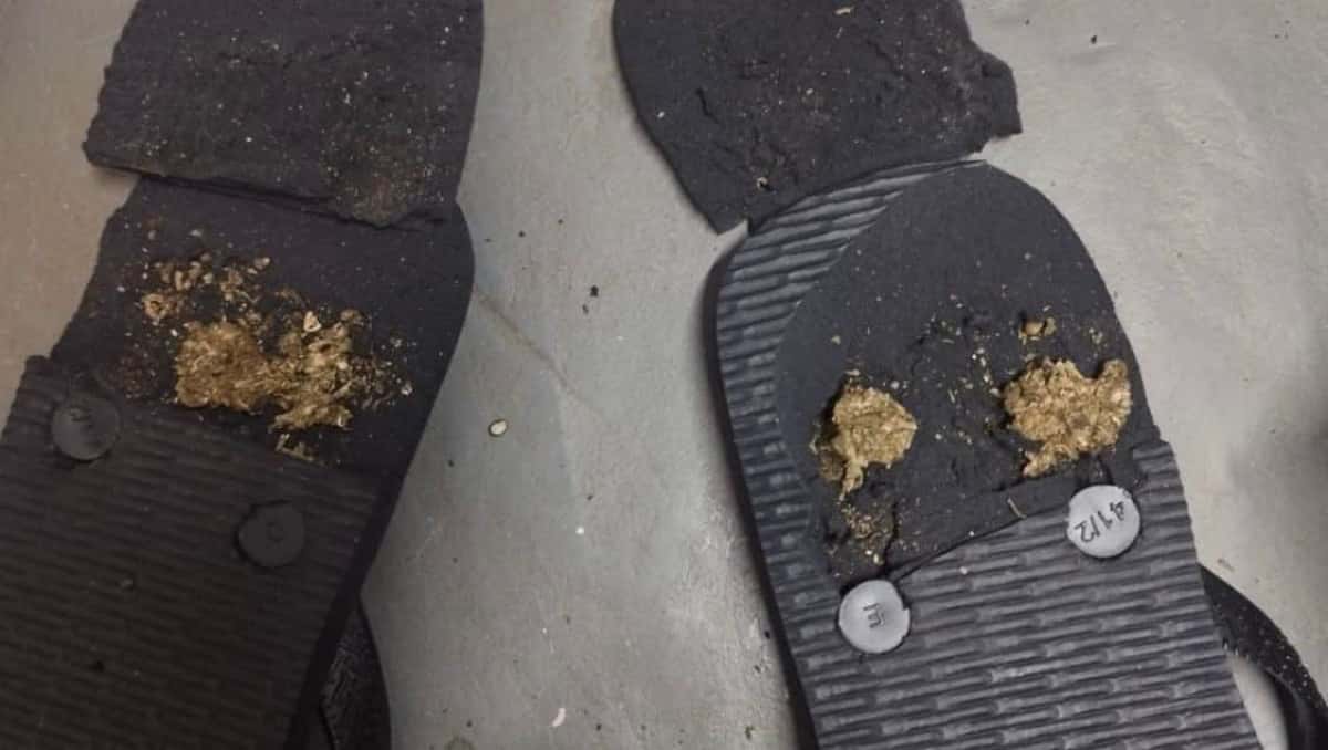 MACONHA-ESCONDIDA-CHINELO-e1757087891588