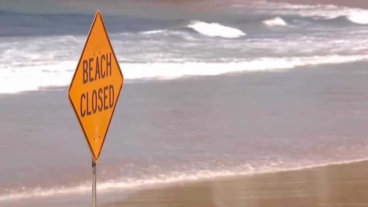 Praias-na-Australia-sao-fechadas-apos-ataque-de-tubarao-matar-homem
