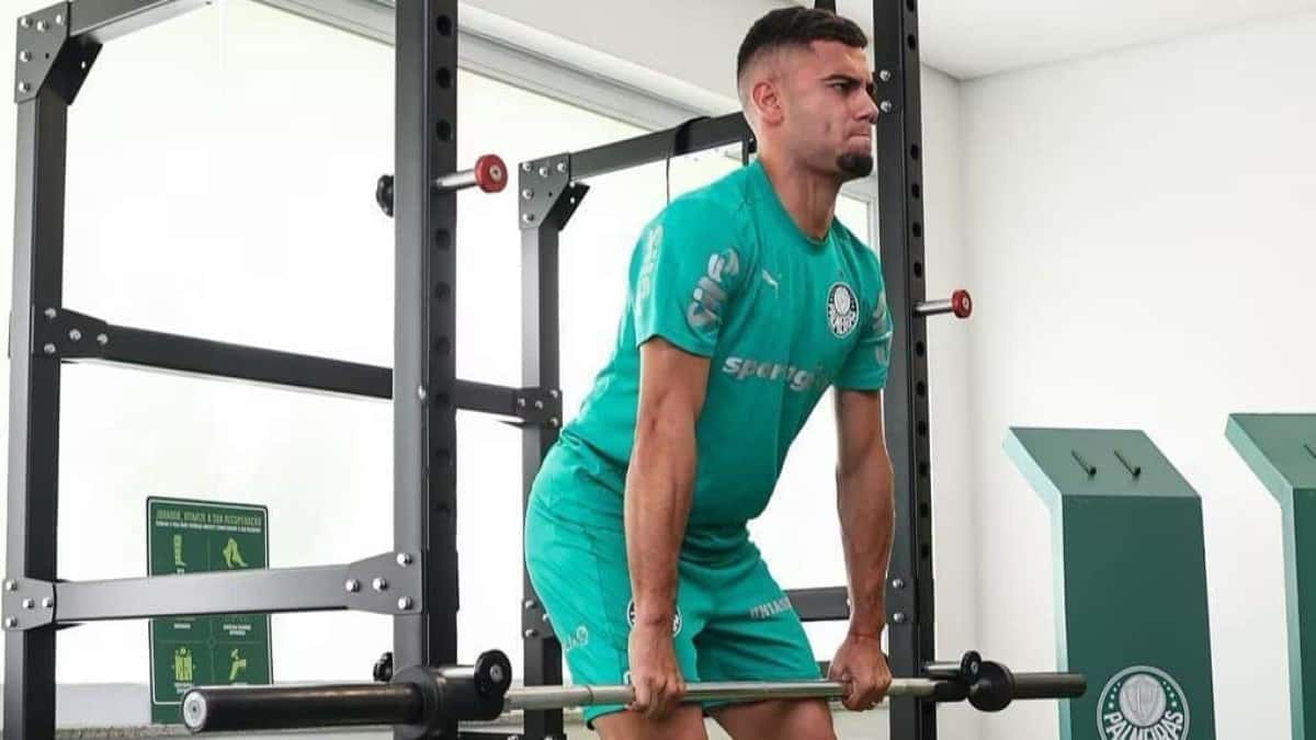 andreas-palmeiras-e1756843018458