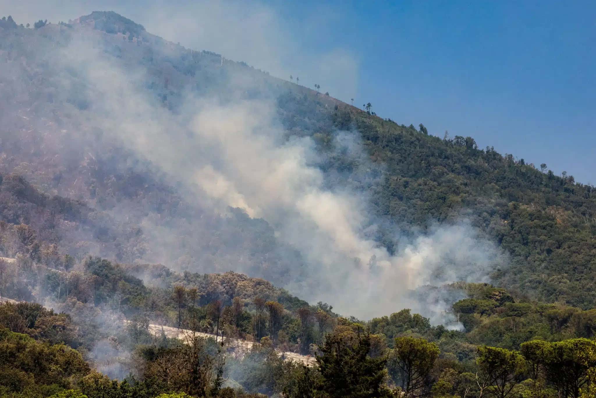 fumaca-causada-por-incendios-florestais-na-italia
