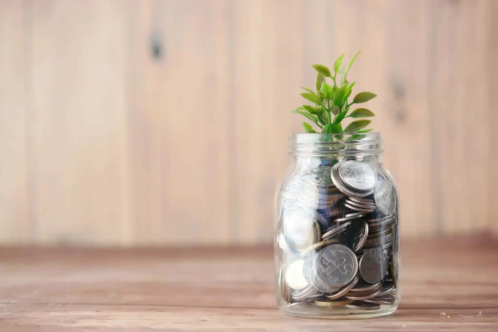 towfiqu-barbhuiya-joqWSI9u_XM-unsplash-1