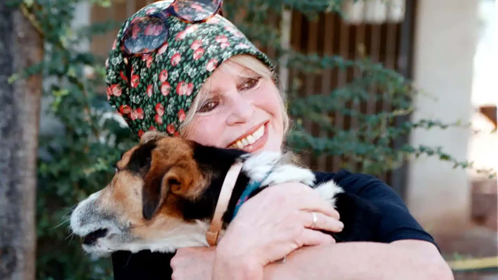 Brigitte-Bardot-sera-enterrada-na-Franca-ao-lado-de-seus-animais