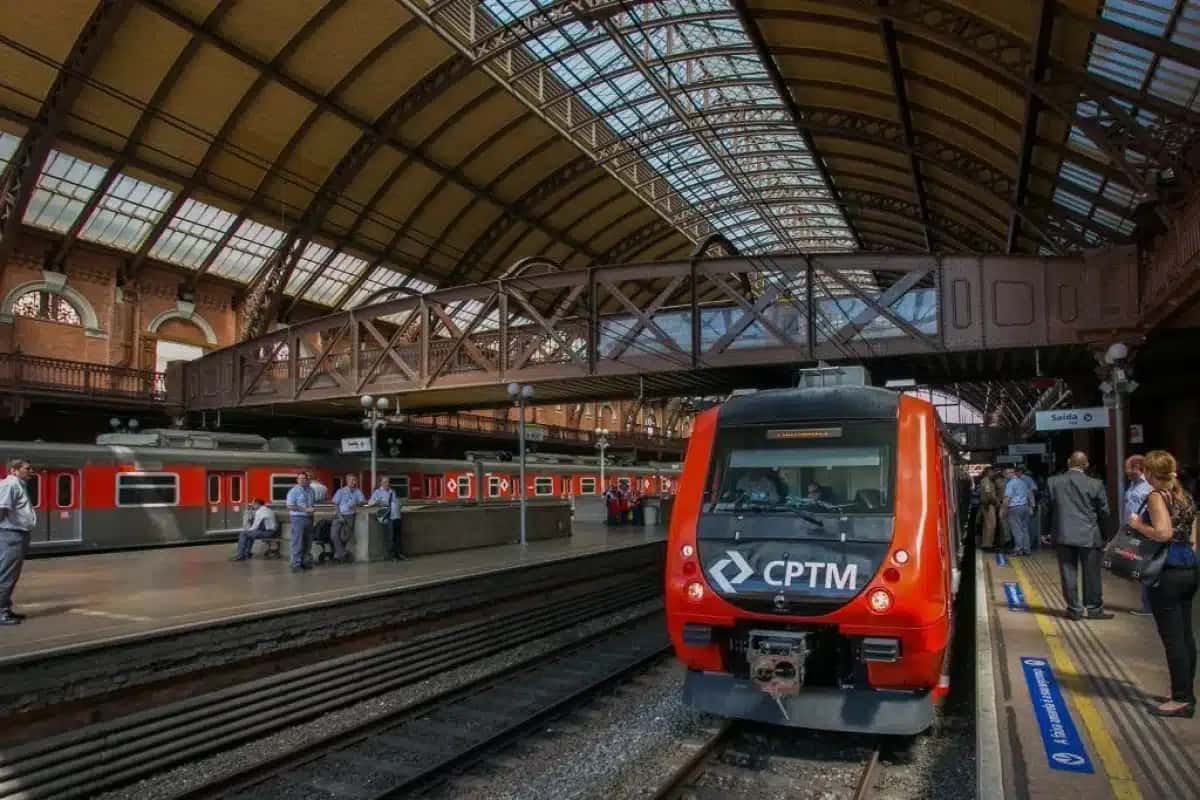 Linha-11