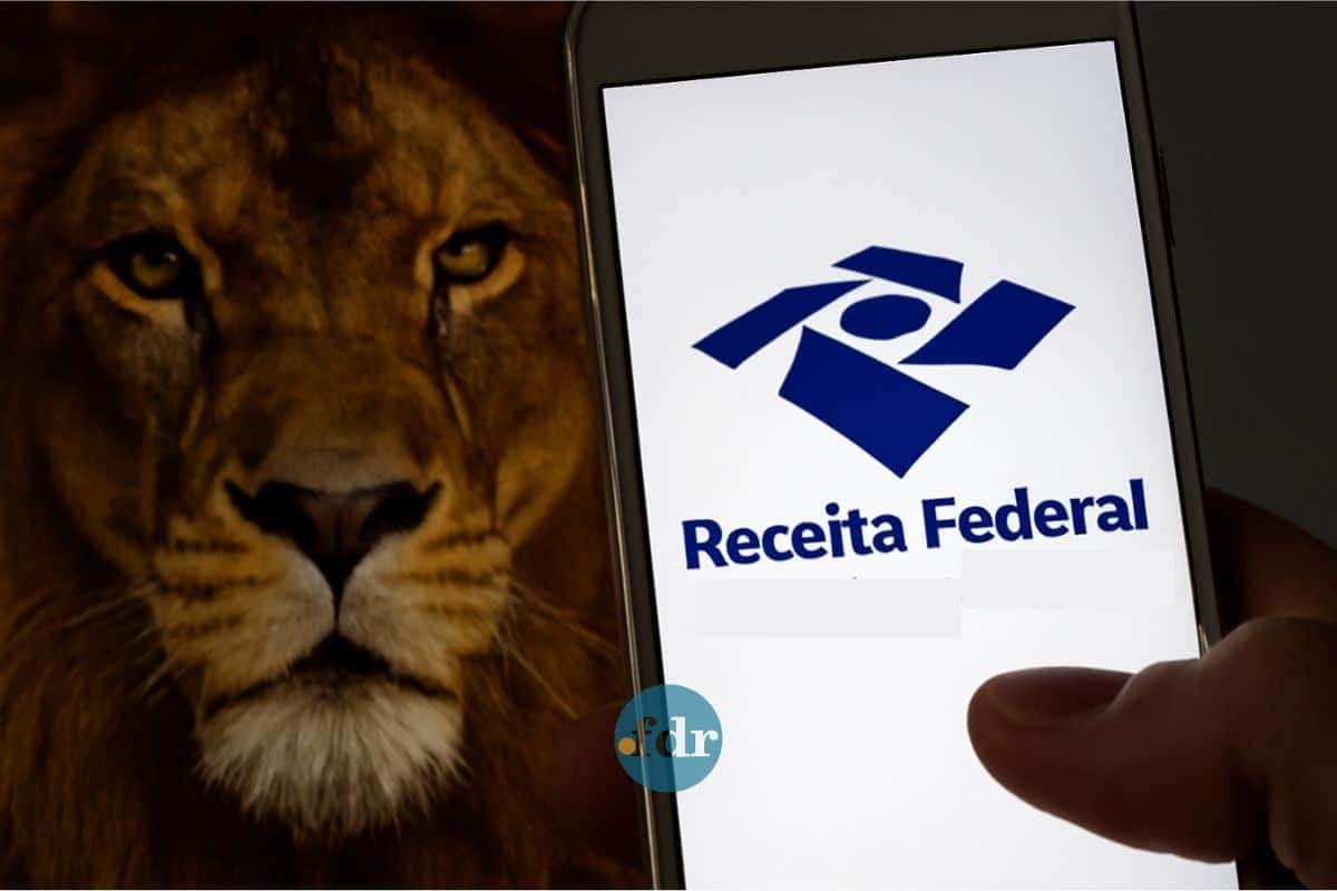 1_quando-sai-a-restituicao-do-imposto-de-renda-2025