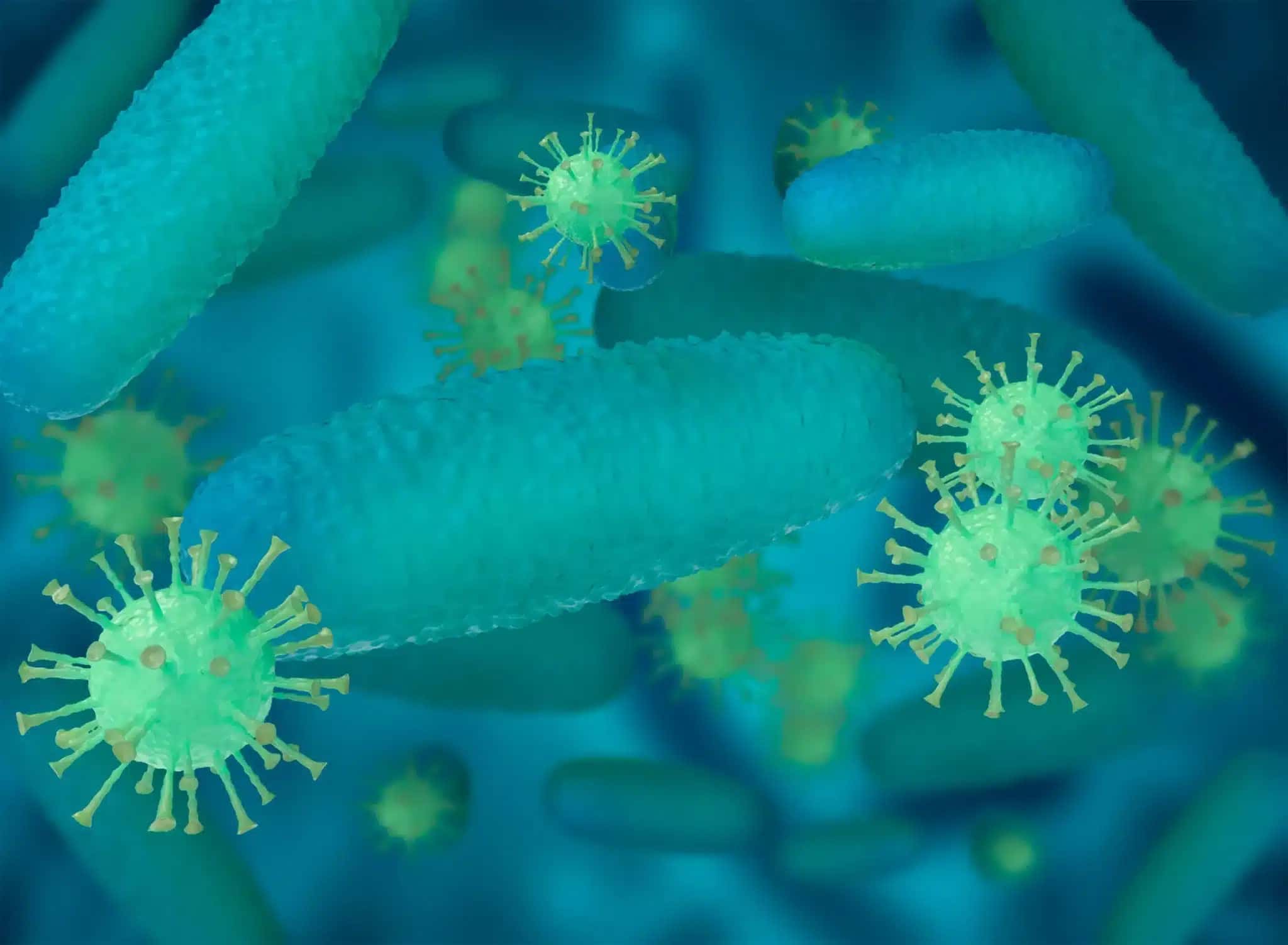 Acinetobacter-baumannii-multirresistente-1